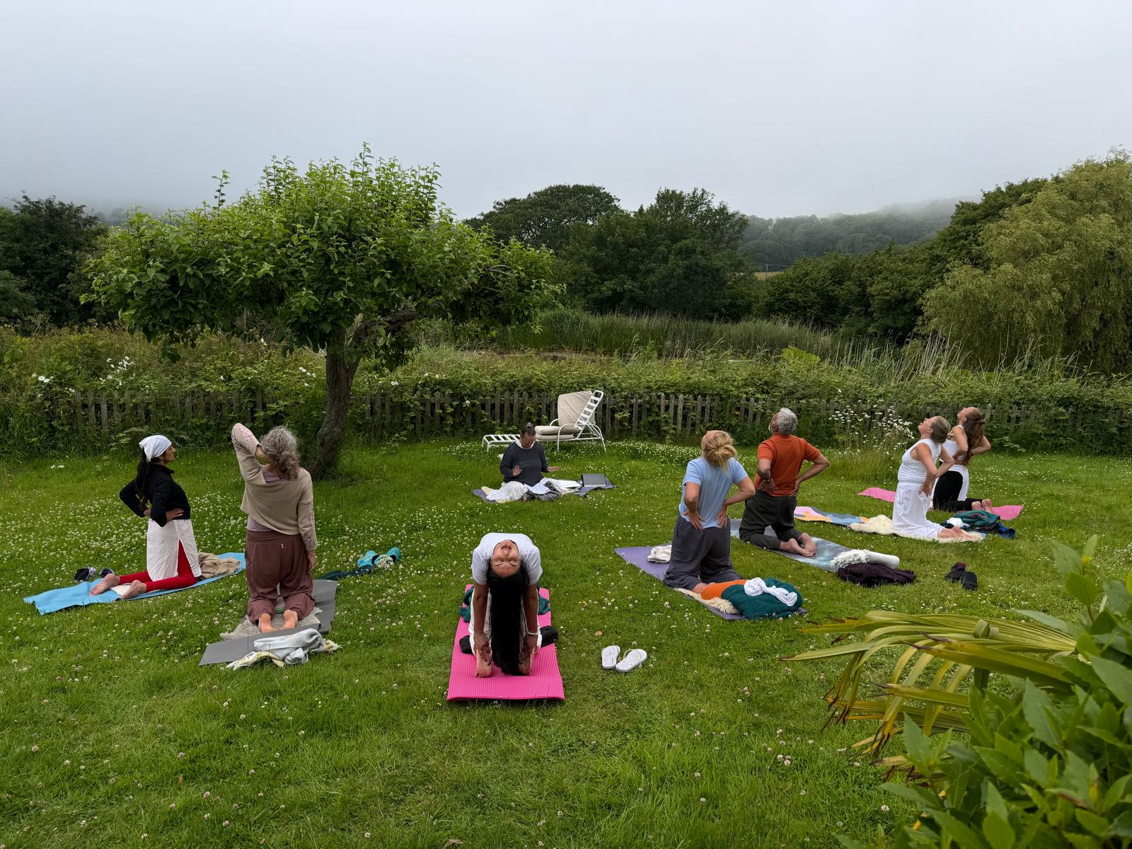 The group practising together on the grass on a misty morning at North End Farm